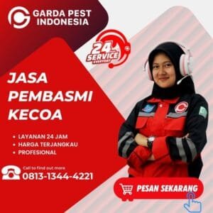 Jasa Pembasmi Kecoa Semarang