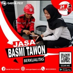 Jasa Pembasmi Tawon Singkawang