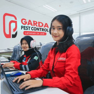 Jasa Anti Rayap Surabaya Profesional Cepat dan Bergaransi
