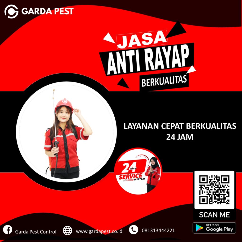 Jasa Anti Rayap Surabaya