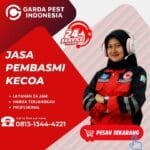 Jasa Pembasmi Kecoa Mobil Kuningan