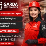 Jasa Pest Control di Batu No.1 Spesialis Anti Rayap