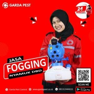 Jasa Fogging Nyamuk Jogja: Diskon Spesial untuk Pelanggan Baru