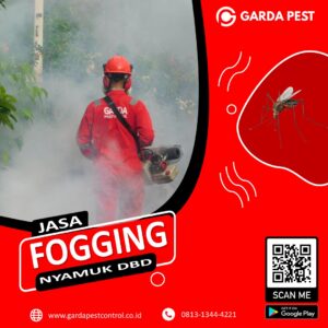 Jasa Fogging Murah di Kota Bandung