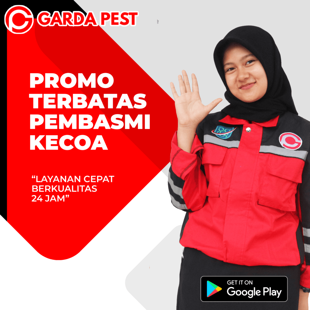 Jasa Pembasmi Kecoa Cabang Kediri