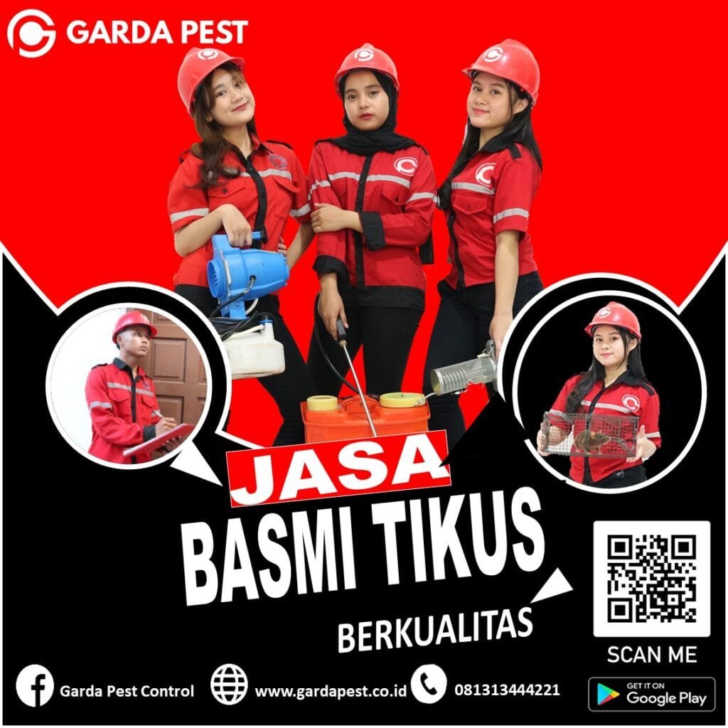 Pembasmi Tikus Kota Surabaya