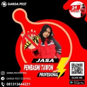 Jasa Pembasmi Sarang Tawon di Jayapura
