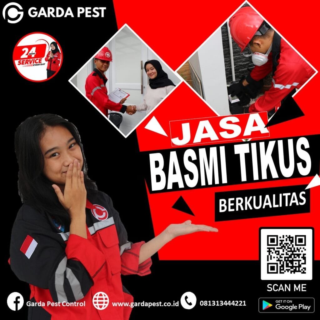 Jasa Pembasmi Tikus Area Bintaro