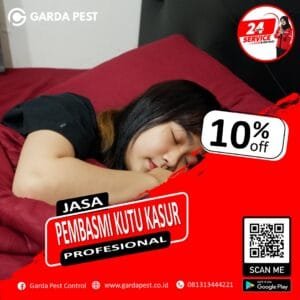 Jasa Pembasmi Kutu Kasur Bandung 24 Jam