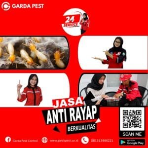Jasa Suntik Rayap Area Solo Kota