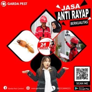 Harga Suntik Rayap Pekalongan