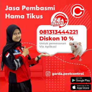 Jasa Pembasmi Tikus di Pundak Payung Semarang