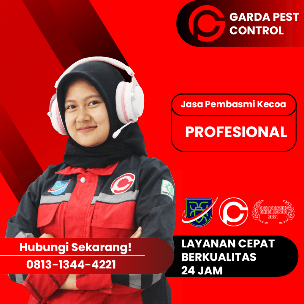 Layanan Jasa Pembasmi Kecoa Bali