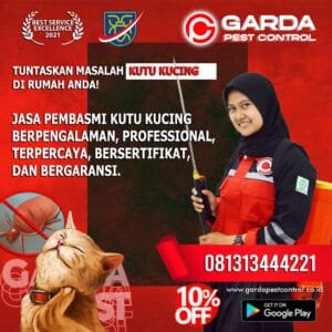 Jasa Pembasmi Kutu Kucing Semarang