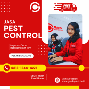 Pest Control Jogja Murah