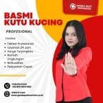 Pembasmi Kutu Kucing di Jatinangor pembasmi kutu kucing bandung terdekat