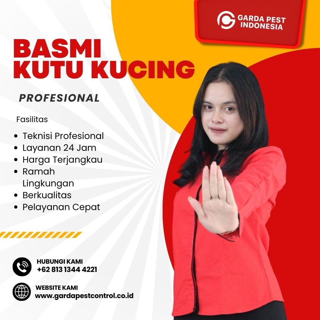 Jasa Basmi Kutu Kucing di Denpasar