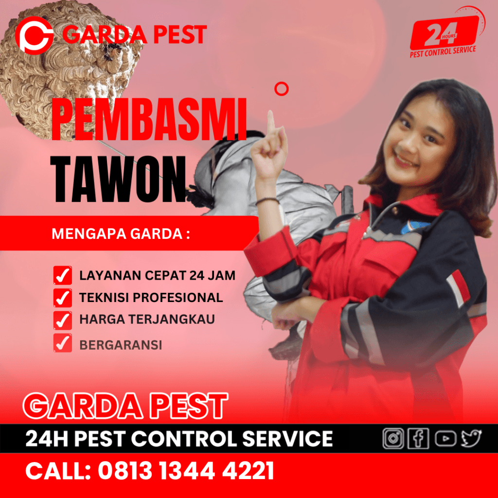 Harga Jasa Pembasmi Tawon Bandung