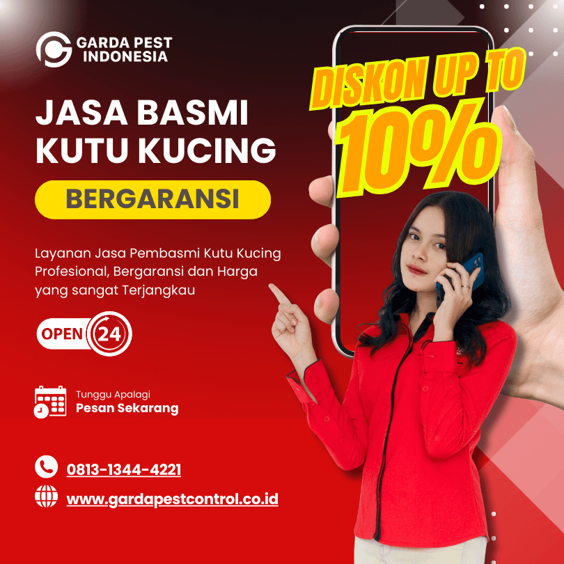 Jasa Pembasmi Kutu Kucing Area Surabaya