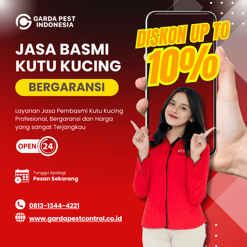 Pembasmi Kutu Kucing di Jakarta