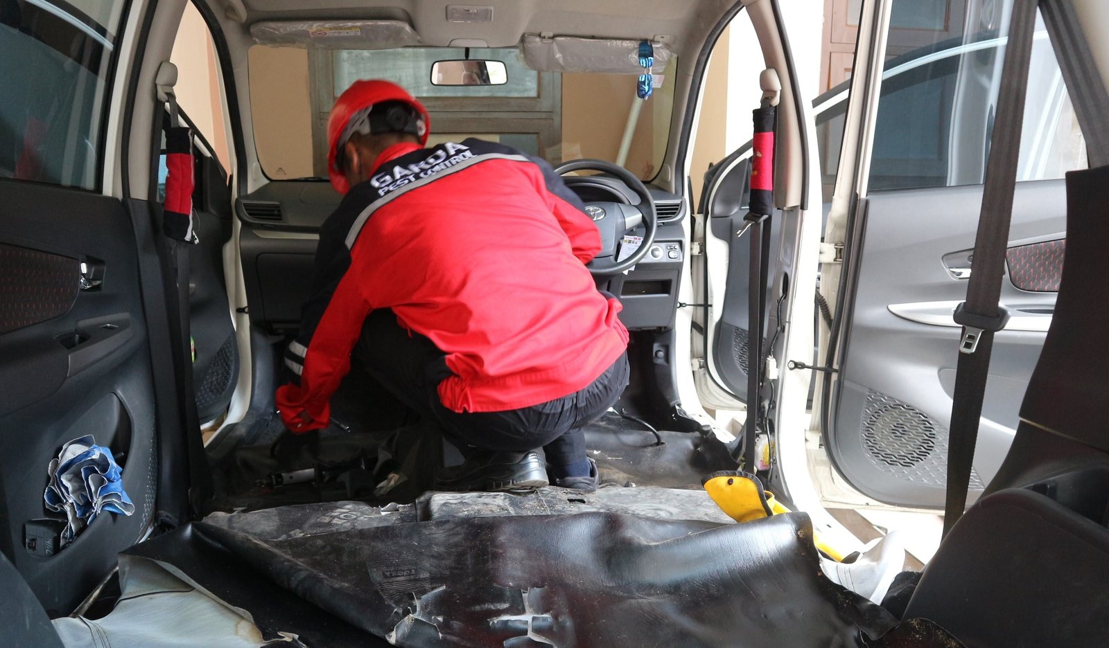 Jasa Pembasmi Kecoa di Mobil Bandung
