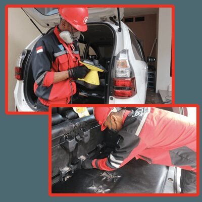 Jasa Pembasmi Kecoa Di Mobil