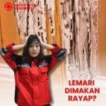 Jasa Pembasmi Rayap Semarang