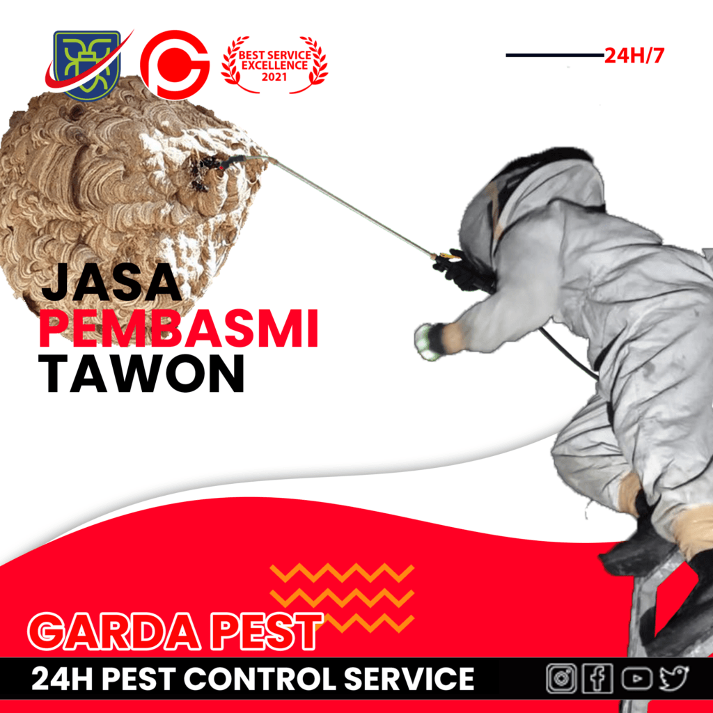 Jasa Pembasmi Tawon di Bantul Panggilan 24 Jam