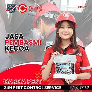 Jasa Pembasmi Kecoa di Mobil Bali
