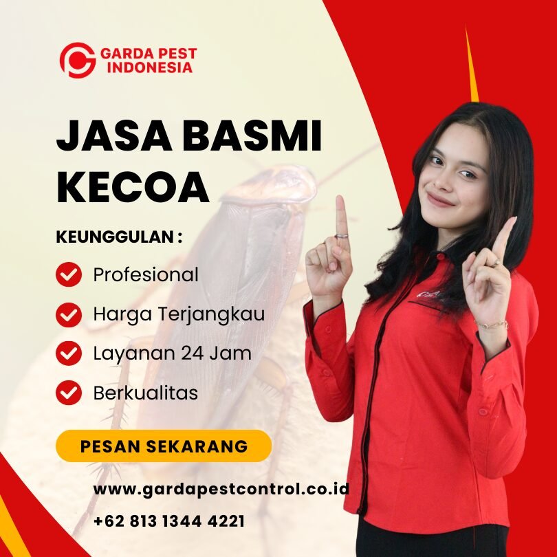 Jasa Pembasmi Kecoa di Jogja