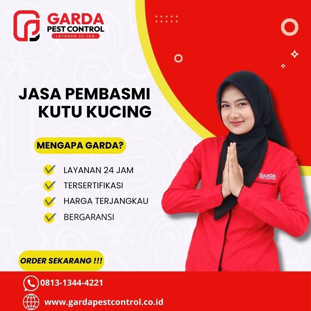 Jasa Pembasmi Kutu Kucing Pekalongan berkualitas