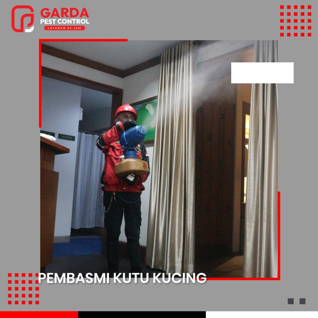 Bahaya Gigitan Kutu Kucing pada Manusia: Kenali Risikonya!