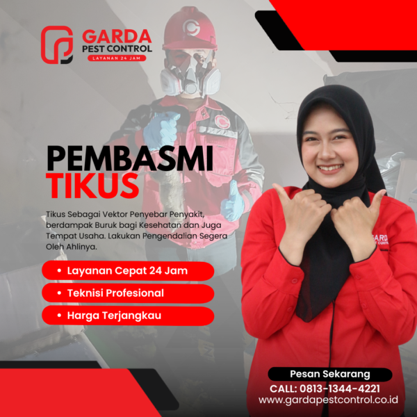 Jasa Pembasmi Tikus di Pekalongan Proses Cepat
