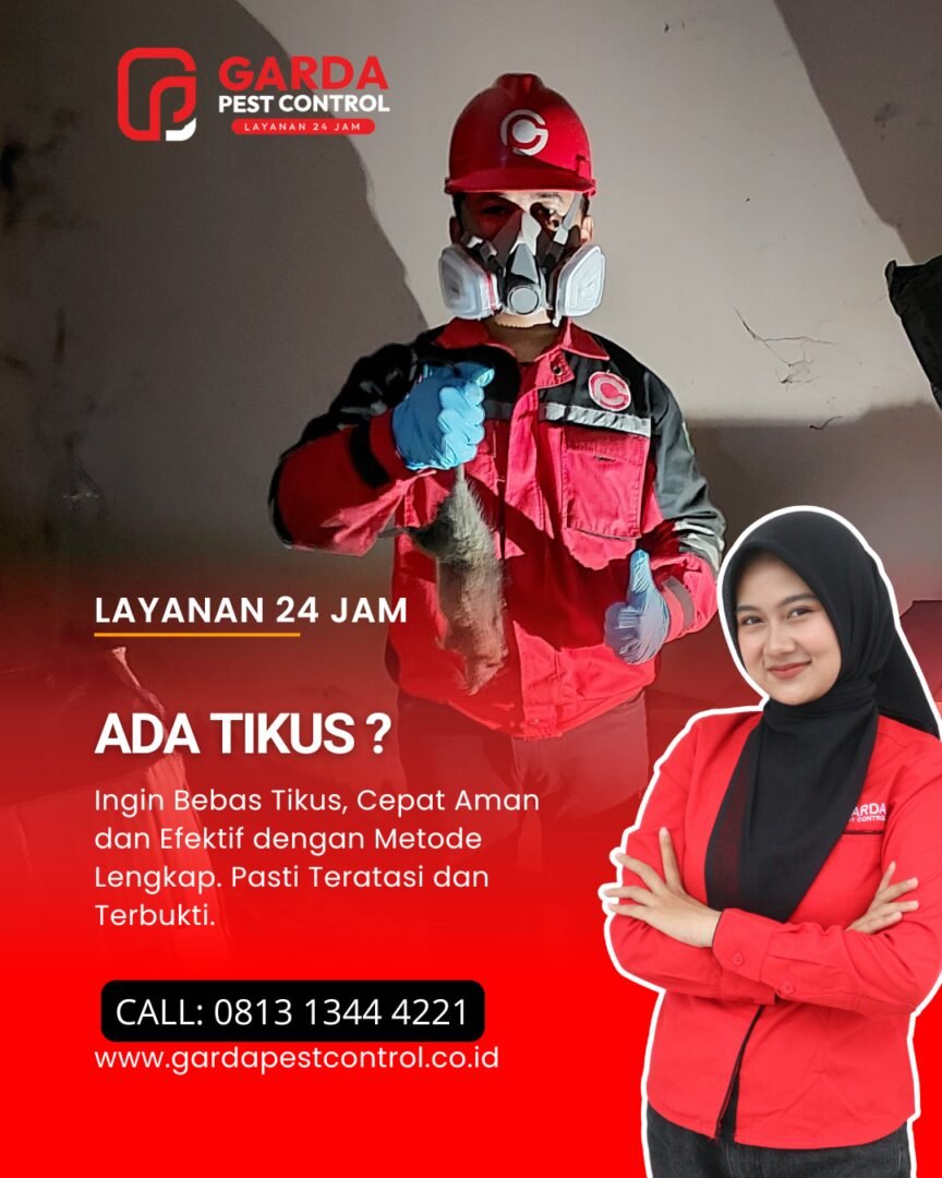 Jasa Pembasmi Tikus Murah di Cirebon Proses Cepat