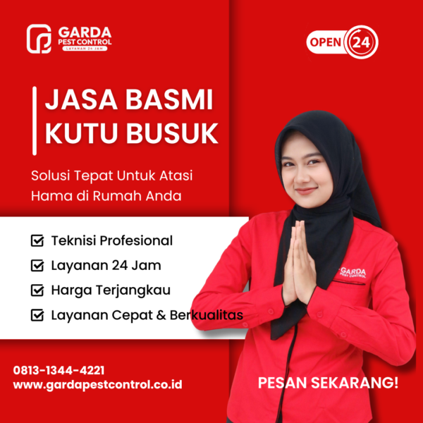 Perusahaan Pembasmi Kutu Busuk Malang Cepat Berkualitas