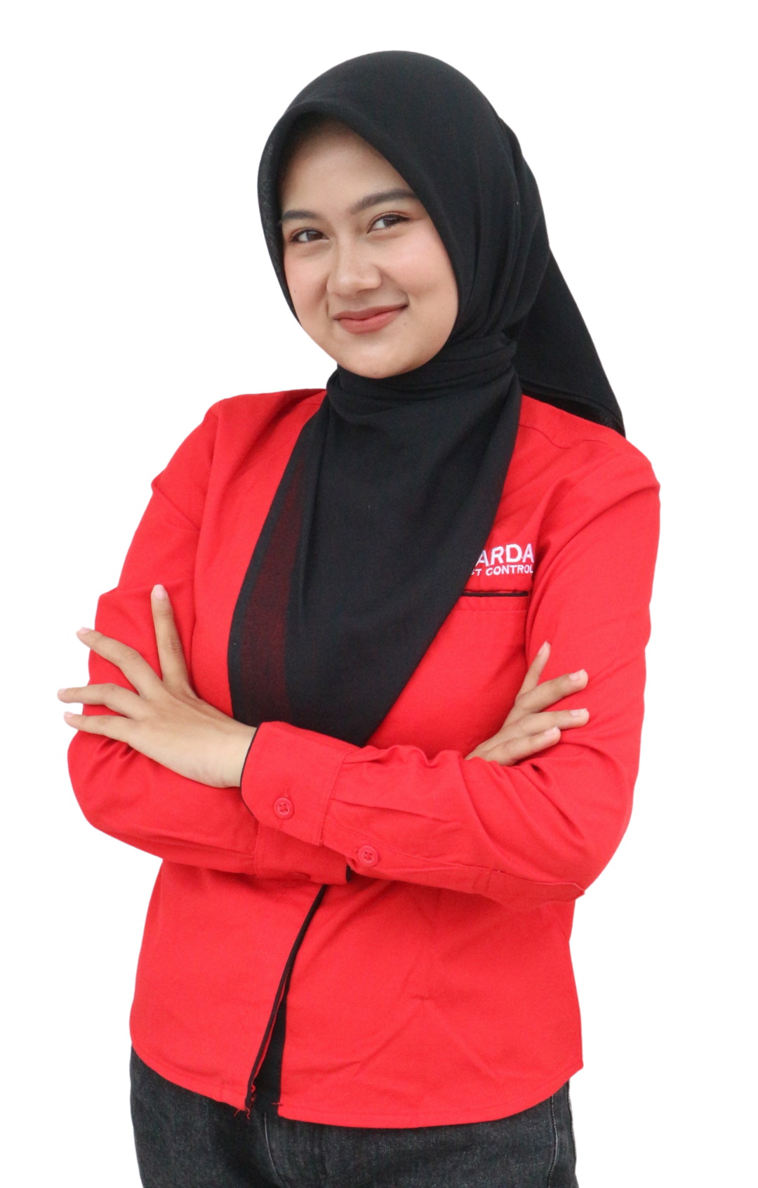 Jasa Fogging Nyamuk Bandung
