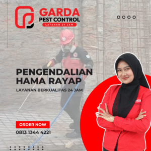 Pest Control Rayap Terbaik dan Terkemuka di Indonesia