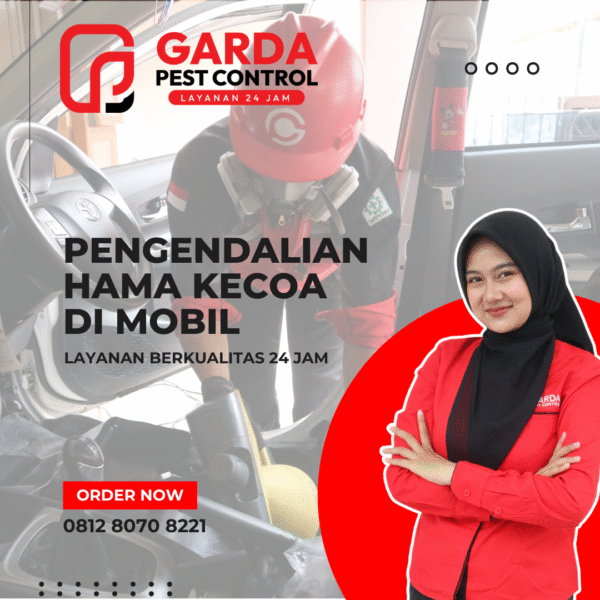 Jasa Pembasmi Kecoa di Mobil Area Wonosobo Garansi 3 Bulan