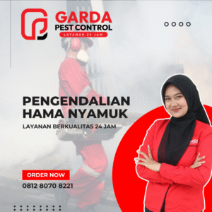 Jasa Fogging Nyamuk di Malang