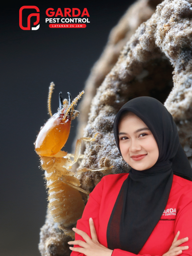 Jasa Basmi Rayap Terdekat di Depok | GARANSI RESMI 3 -5 Tahun!