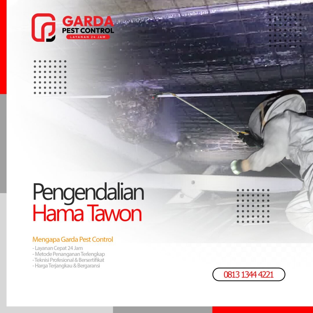 Jasa Pembasmi Sarang Tawon Bogor