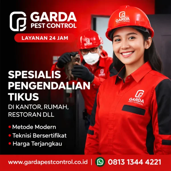 Jasa Pembasmi Tikus di Batu Profesional dan Berkualitas