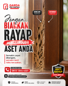 Cara Membasmi Rayap di Bandung