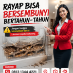 Garansi Jasa Anti Rayap di Bekasi