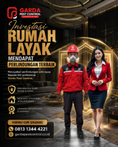 Kontraktor Anti Rayap Bandung