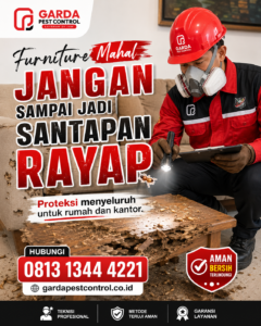 Jasa Anti Rayap Murah di Purwokerto