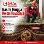 Biaya Jasa Basmi Rayap Per Meter di Bandung dan Panduan Perhitungannya