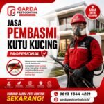 Jasa Pembasmi Kutu Kucing Area Solo