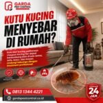 Jasa Pembasmi Kutu Kucing Cabang Solo