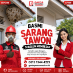 Jasa Pembasmi Tawon di Solo